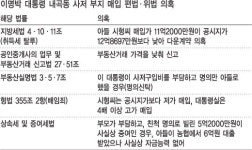 내곡동 땅, 아들은 싸게 사고 대통령실은 비싸게 매입