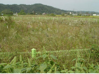 [新택리지]서정(抒情)과 전흔(戰痕)이 공존하는 역사문화도시, 한반도 중심도시 연천군