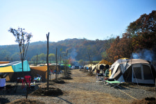 [한국의 캠핑장]가을을 낚다, 파주 하마캠핑장