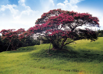 [新택리지]부산포구의 관문·부산의 중심, 부산진구