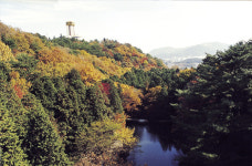 [新택리지]부산포구의 관문·부산의 중심, 부산진구