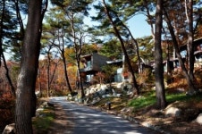 깊어가는 가을, 삶의 쉼표를 찾아서…리솜포레스트 분양