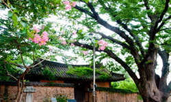 미술사 거목 김종영·이응노의 ‘나의 살던 고향은’