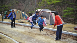 [한국의 캠핑장]당당한 산세·고운 계곡, 원주 치악산 구룡자동차야영장