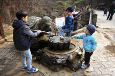 [한국의 캠핑장]당당한 산세·고운 계곡, 원주 치악산 구룡자동차야영장