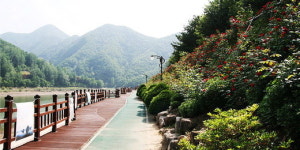 단양에 ‘느림보 강물길’ 만든다