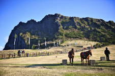 [한국의 캠핑장]바람이 쉬어가는 곳, 제주 모구리야영장