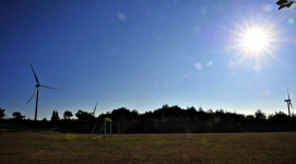 [한국의 캠핑장]바람이 쉬어가는 곳, 제주 모구리야영장