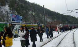 눈꽃열차, 겨울철 지역경제 효자노릇 ‘톡톡’