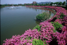 [新택리지]광주경제 발전을 이끄는 신도시, 광주 광산구