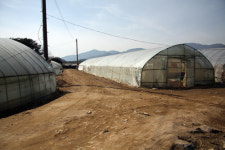 사대강 반대로 전과자 된 농민들..그래도 씨앗을 뿌린다