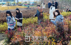 영재목재전시장 | [경향포토]나무전시판매장 개장