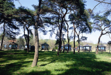 [新택리지]국악이 숨쉬고 과일 향이 살아 있는 충북 영동군