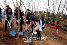 [경향포토]성미산을 푸르게