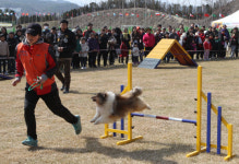 울산에 전국 첫 애견운동공원