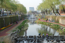 수원천, 자연형 하천으로 복원