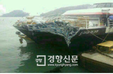 여수~거문도 여객선 교량과 충돌, 20여명 중경상