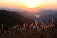 [新택리지]시민이 행복한 빛과 볕의 도시 동북아 자유무역도시, 광양
