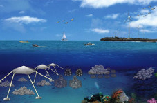 잠수함 타고 ‘제주 바다목장’ 본다