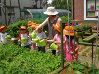 인천시, 12일 상자텃밭 분양
