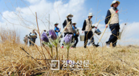 [경향포토]바가노르 사막 숲 조성사업