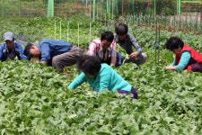 쪽방촌 주민들, 땀 흘리며 희망 캔다