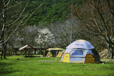 [한국의 캠핑장]하늘과 땅이 만나는 길, 김제 금산사야영장