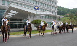 [포토뉴스]전남 경찰기마대 떴다