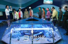 여수박람회 빛내는 ‘모나코’