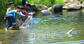 [포토뉴스]개구쟁이들 “오리야 놀자”