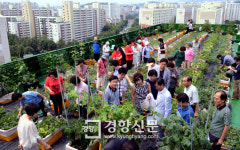 “아파트 옥상 텃밭 함께 가꾸며 이웃 간의 벽이 허물어졌어요”