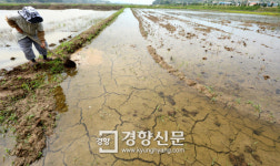 서울 105년 만의 6월 더위… 전국 장맛비 일시 해갈