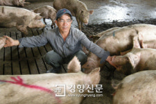 “사료값 못 갚아 돼지에 경매 ‘빨간딱지’… 피눈물이 흐릅니다”