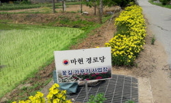 늘고 주름져야만 꽃필 수 있는 것들