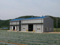 안동 도산면에 시래기 가공공장 건설