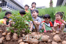 [포토뉴스]“감자가 이렇게 생겼구나”