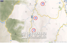 개발로 산양이 도로 인근에도 살게 돼