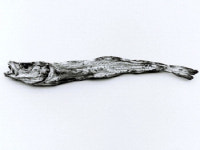 불황 시름에… 1000원짜리 노가리 ‘국민안주’로 등극