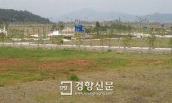 8700억 투입 영종지구 미단시티 외자유치 성과 없고 잡초만 무성