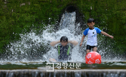 [경향포토]더위아 물럿거라
