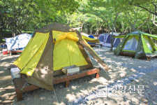 대구 팔공산 캠핑장 찾은 시민들 “시설보수 마무리 짓고 개장했어야”