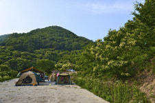 [한국의 캠핑장]밤꽃 향기 그윽하게, 공주 기산농장 오토캠핑장