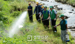 [경향포토]서초구 방역 실시