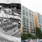 [세계 식량위기 오나]역대 정부, 농지 줄이고 FTA로 농업 포기