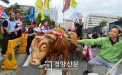 농민후계자한우일번지 | [경향포토]성난 한우농민들,국회앞 대치