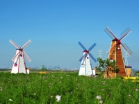 이국적 풍차와 갈대습지로의 초대… ‘대부바다향기 테마파크’ 16일 개장
