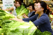 [경향포토]강원도 배추 반값에