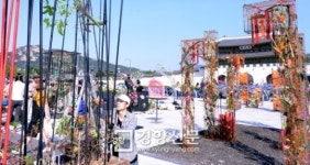 [경향포토]종로 국제 꽃 장식 축제