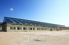 영양, 우량 소 보급기지 부푼꿈