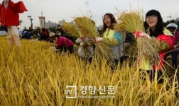 [경향포토]일자산 베벼기 행사